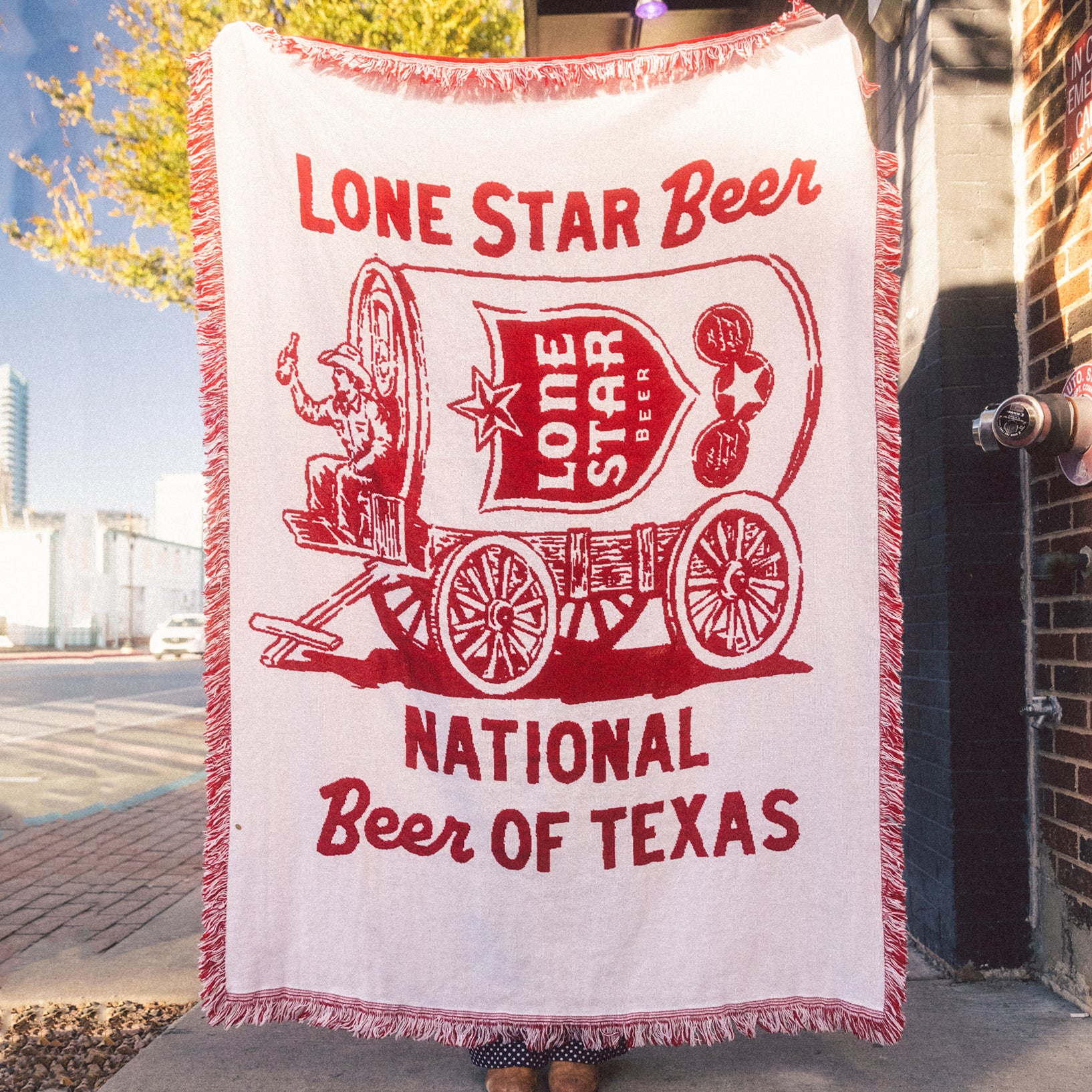 Can Wagon Throw Blanket